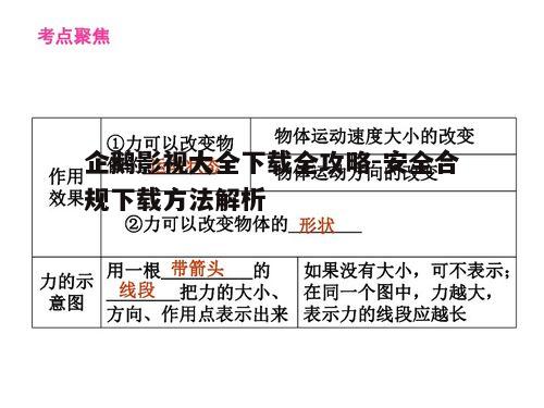五、下载后的管理与观看