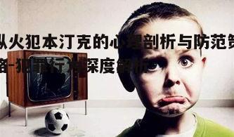 一、纵火犯本汀克的背景与动机