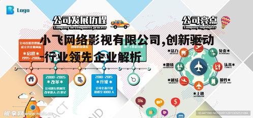 一、公司概述与发展历程
