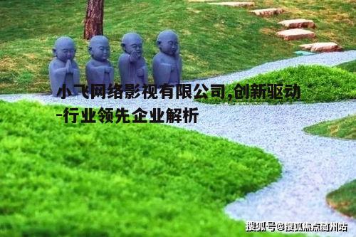 二、核心优势与竞争力分析