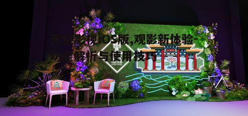二、高清视频播放体验