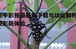 三、如何使用天牛影视搜索影片