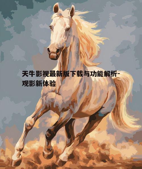 四、天牛影视的安全性问题