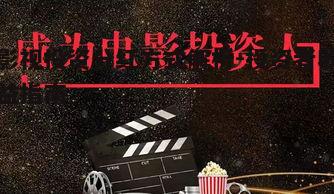 五、网络播放对影视投资分红的影响