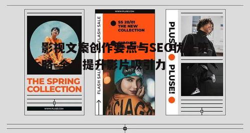 二、如何撰写吸引眼球的影片简介