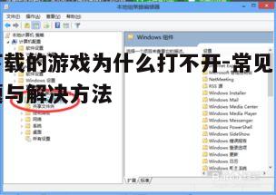 二、系统兼容性问题