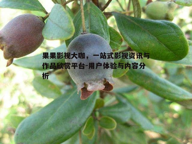 二、果果影视大咖的特色内容