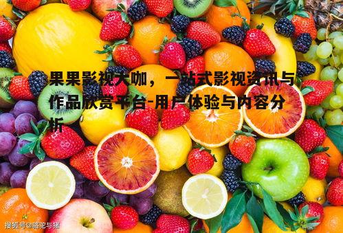 四、果果影视大咖的用户评价