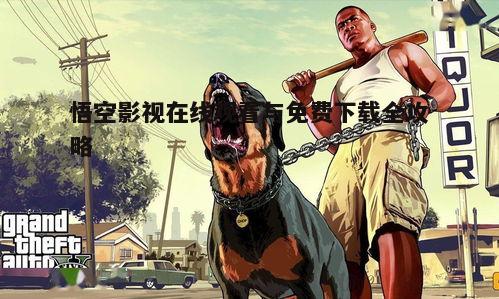 一、悟空影视平台简介