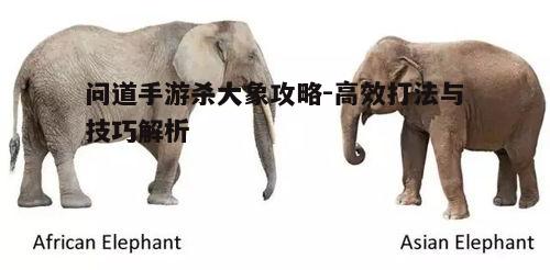 一、了解大象特性