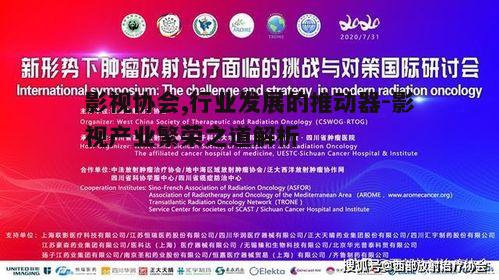 三、影视协会面临的挑战与对策