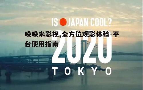 二、哚哚米影视使用方法