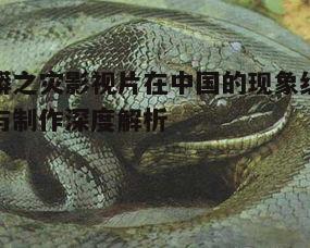 一、狂蟒之灾在中国市场的受欢迎程度