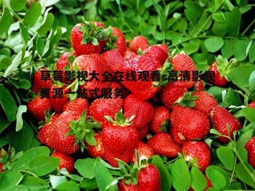 一、草莓影视大全平台特色