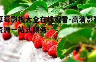 四、草莓影视大全的版权问题