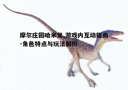 一、哈米龙的基本特点