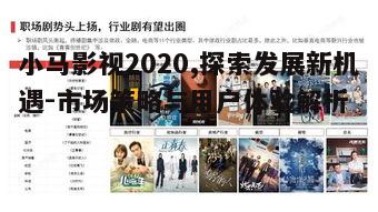 一、小马影视2020年的市场布局