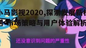 四、小马影视的版权保护