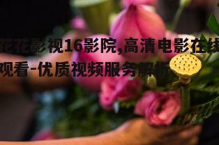 一、花花影视16影院的影片资源概述