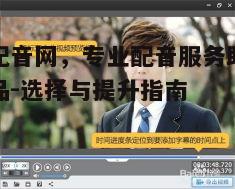 三、影视配音网的多元化服务