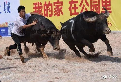 一、了解斗牛游戏的基本规则