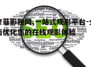 三、优化观影体验的技巧