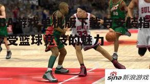 一、选择合适的NBA游戏单机版