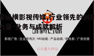 三、星纵横影视传媒的市场定位