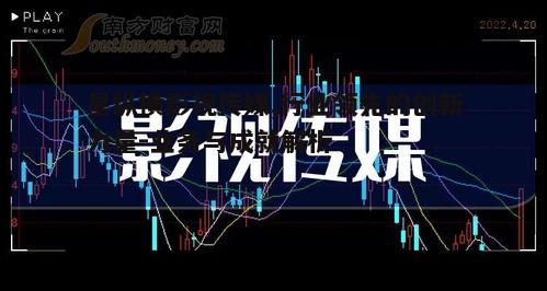 五、星纵横影视传媒的发展前景