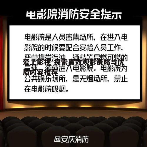 二、高效观影的技巧