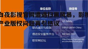 三、白夜影视官网应对策略分析