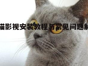 三、蓝猫影视功能介绍