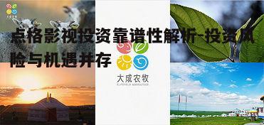 三、点格影视投资的风险