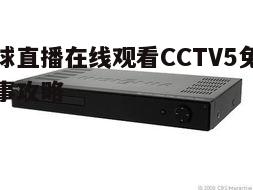 四、使用正确的播放器