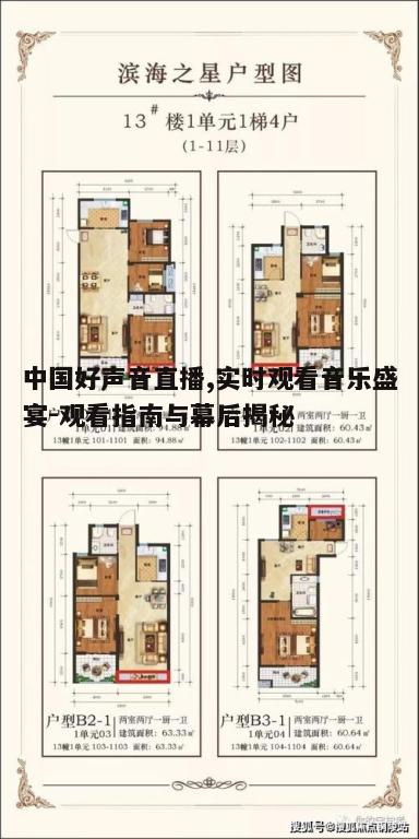 三、如何选择最佳观看位置