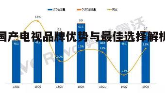 五、国产电视的海外市场表现