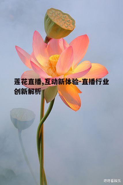 一、莲花直播的独特魅力
