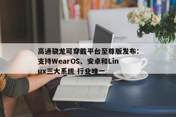 高通骁龙可穿戴平台至尊版发布:支持WearOS、安卓和Linux三大系统 行业唯一 高通骁龙可穿戴平台至尊版发布:支持WearOS、安卓和Linux三大系统 行业唯一