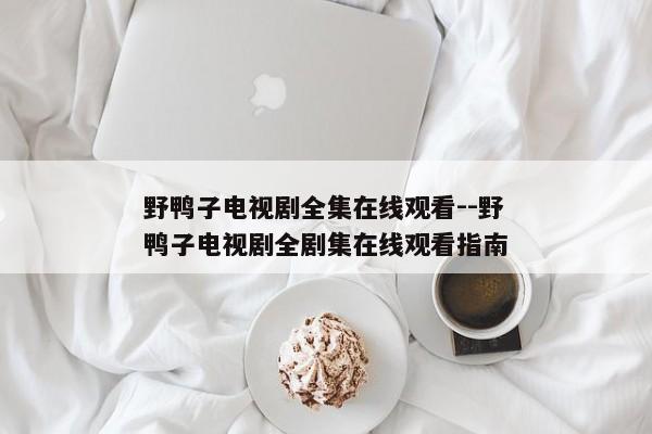 野鸭子电视剧全集在线观看--野鸭子电视剧全剧集在线观看指南