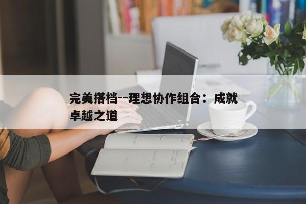 完美搭档--理想协作组合：成就卓越之道