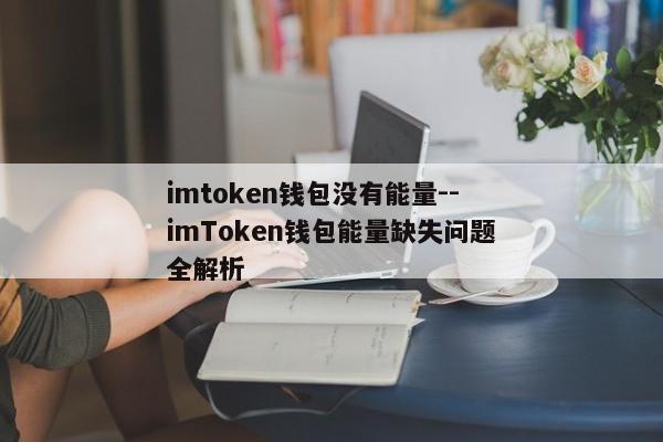 imtoken钱包没有能量--imToken钱包能量缺失问题全解析